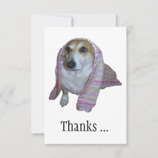 Bedankt voor alle goede tijden