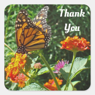 Bedankt voor de foto van Monarch Butterfly Vierkante Sticker