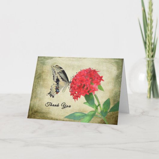 Bedankt voor de Kaart, Butterfly (Voorkant)