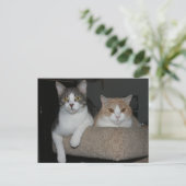 Bedankt voor het begeleiden van mij briefkaart (Staand voorkant)