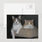 Bedankt voor het begeleiden van mij briefkaart (Voorkant / Achterkant)