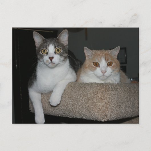 Bedankt voor het begeleiden van mij briefkaart (Voorkant)