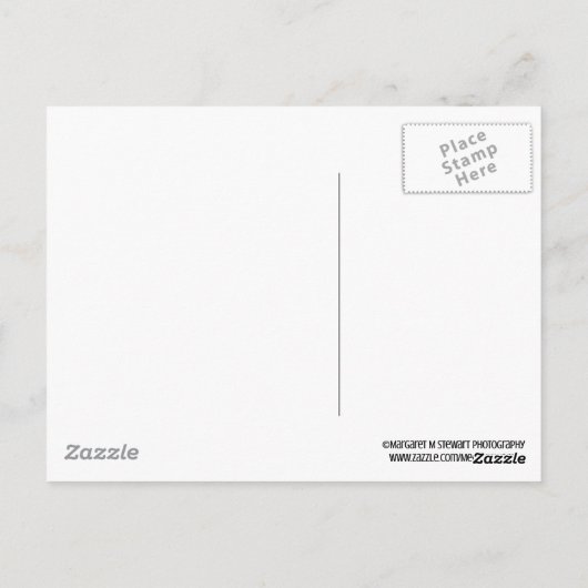 Bedankt voor het schoolthema briefkaart (Achterkant)