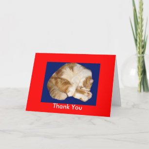 Bedankt voor het verzorgen van mijn Kat Kaart