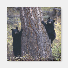 Bedankt voor je cadeautje magneet