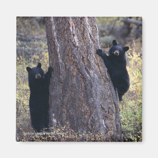 Bedankt voor je cadeautje magneet (Voorkant)