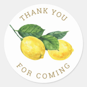 Bedankt voor je komst. Citrus lemon baby shower Ronde Sticker