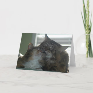 Bedankt voor je vriendschap