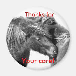 Bedankt voor je zorg! Ponies krasmagneten Magneet