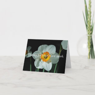 Bedankt voor uw harde werk