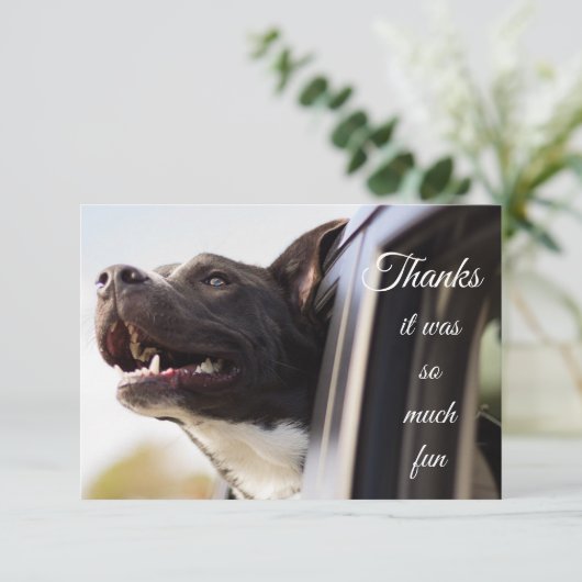 Bedankt zo veel vlot om uit het venster te lopen (Staand voorkant)