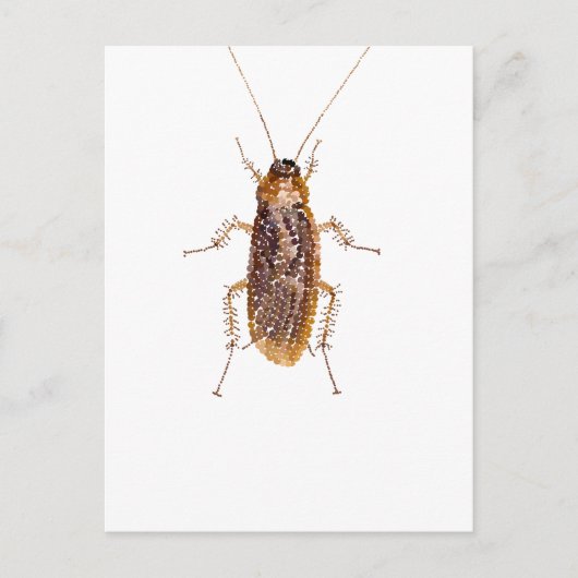 BEDAZZLED ROACH BRIEFKAART (Voorkant)