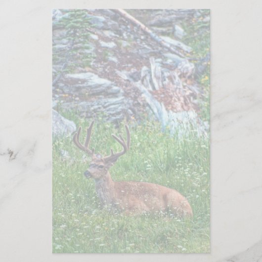 Beddenbok Briefpapier (Voorkant)