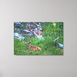 Beddenbok Canvas Afdruk