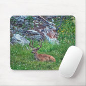 Beddenbok Muismat (Met muis)