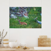 Beddenbok Poster (Keuken)