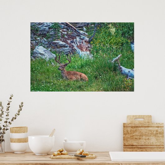 Beddenbok Poster (Keuken)