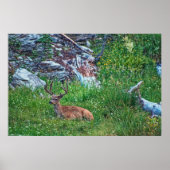 Beddenbok Poster (Voorkant)