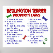 BEDDLINGTON TERRIER PL2 POSTER (Voorkant)