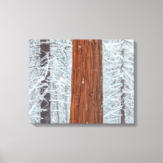 bedekt canvas afdruk (Voorkant)