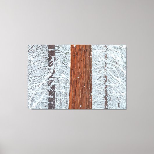 bedekt canvas afdruk (Voorkant)