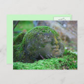 Bedekte Japanse tempelbeeld Briefkaart (Voorkant / Achterkant)