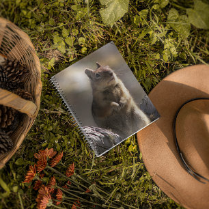 bedelen grond eekhoorn Natuur foto Notitieboek