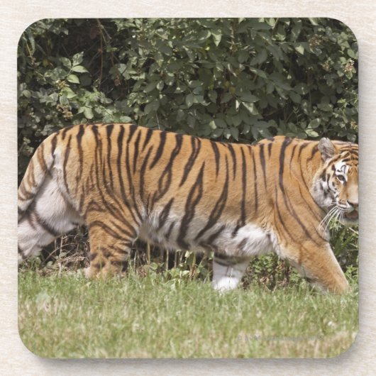 Bedfordshire, Engeland 2 Bier Onderzetter (Voorkant)