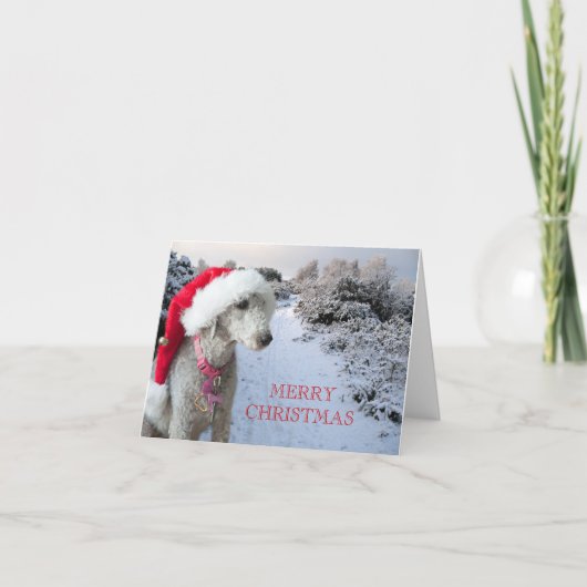 Bedlington geweldige kerstkaart feestdagen kaart (Voorkant)