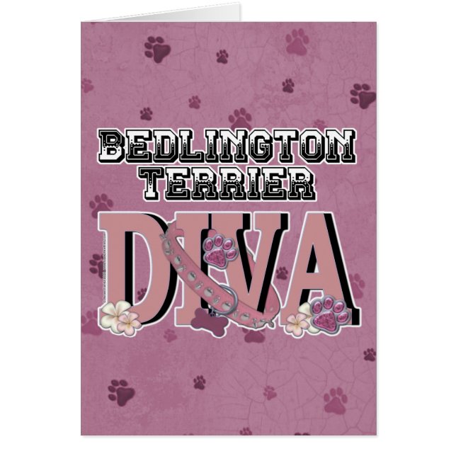 Bedlington Terrier DIVA (Voorkant)