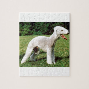 Bedlington Terrier Dog Legpuzzel