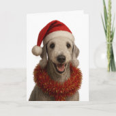Bedlington Terrier in a Santa hat Christmas card Kaart (Voorkant)