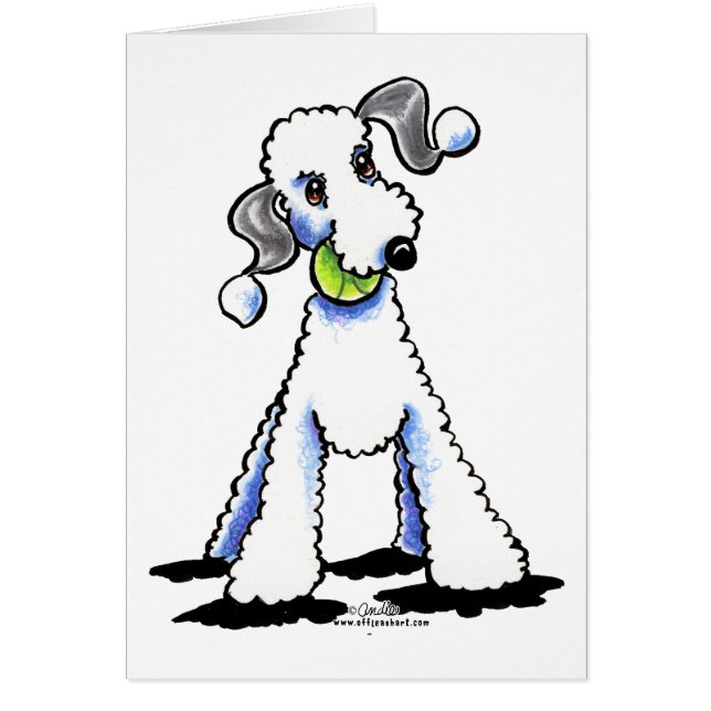 Bedlington Terrier Jouons (Devant)