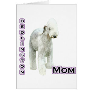 Bedlington Terriër Moeder 4