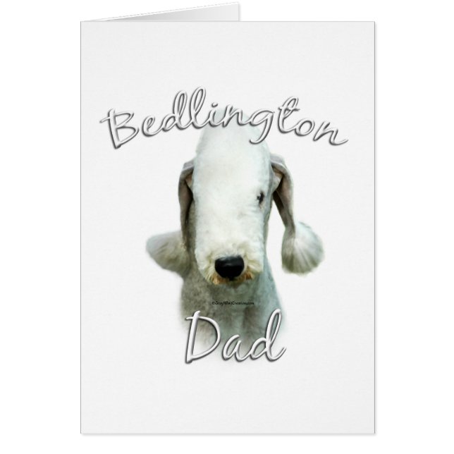 Bedlington Terrier Papa 2 (Devant)
