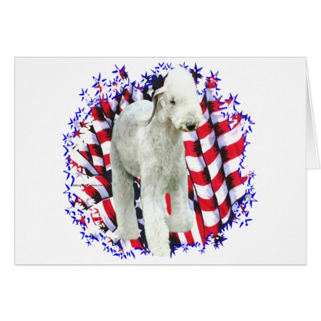 Bedlington Terrier Patriot (Voorkant Horizontaal)