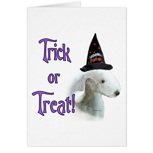 Bedlington Terrier Trick (Voorkant)