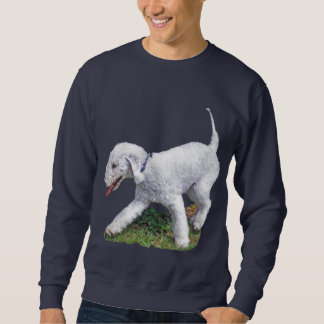 Bedlington Terrier Trui