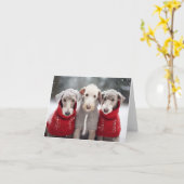 Bedlington Terriers dans la carte de pulls de Noël (Fleur jaune)