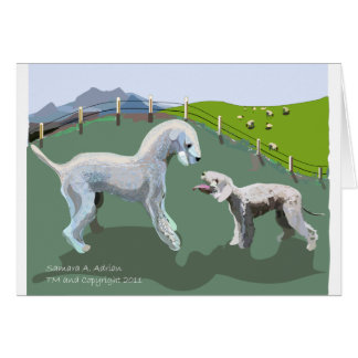 Bedlington Terriers - Rencontre avec votre héros