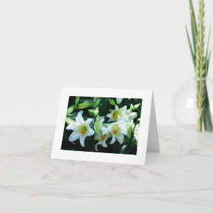 *BEDRAG* JE WORDT GELATEN EENVOUDIGER KAART