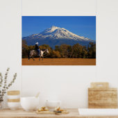 BEDRAG SHASTA MET HOREN EN RIDER POSTER (Keuken)