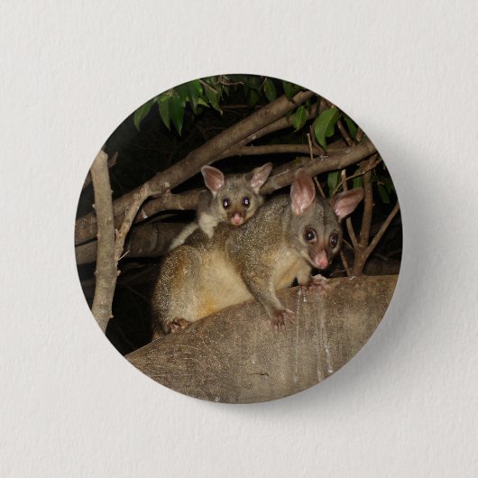 Bedragen van Brushtail Possum Ronde Button 5,7 Cm (Voorkant)