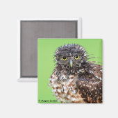 Bedraggled Uil Magnet Magneet (Voorkant / Achterkant)