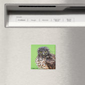 Bedraggled Uil Magnet Magneet (Insitu (Vaatwasser))