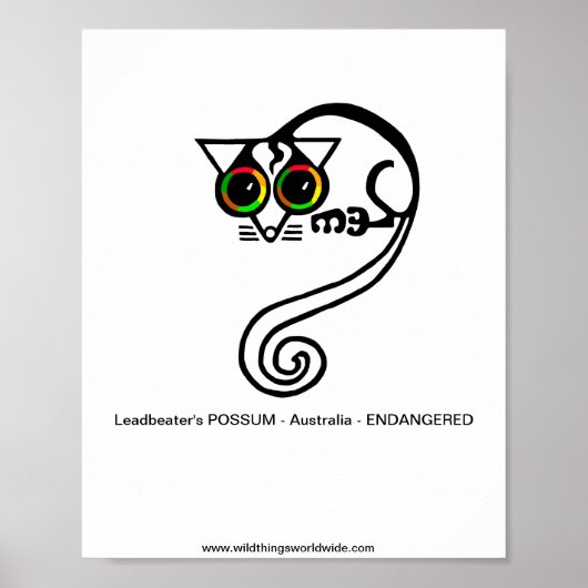Bedreigd dier - Leadbeater's POSSUM - Australië Poster (Voorkant)
