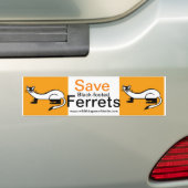 Bedreigd dier - Save Black-footed FERRETS- Bumpersticker (Op auto)