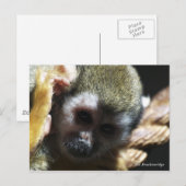 "Bedreigd?...Niet als ik het kan helpen!" Briefkaart (Voorkant / Achterkant)