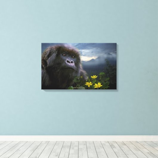 Bedreigde berggorilla genaamd "HOPE" Art Canvas Afdruk (Insitu (Houten vloer))