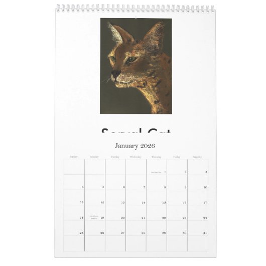 Bedreigde grote katten kalender (Jan 2026)